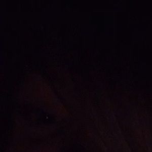 Meet your Posher, Devin